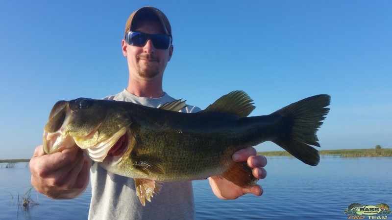 Bass fishing Lake Okeechobee report