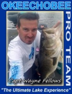 Wayne Fellows-Lake Okeechobee Fishing Guide