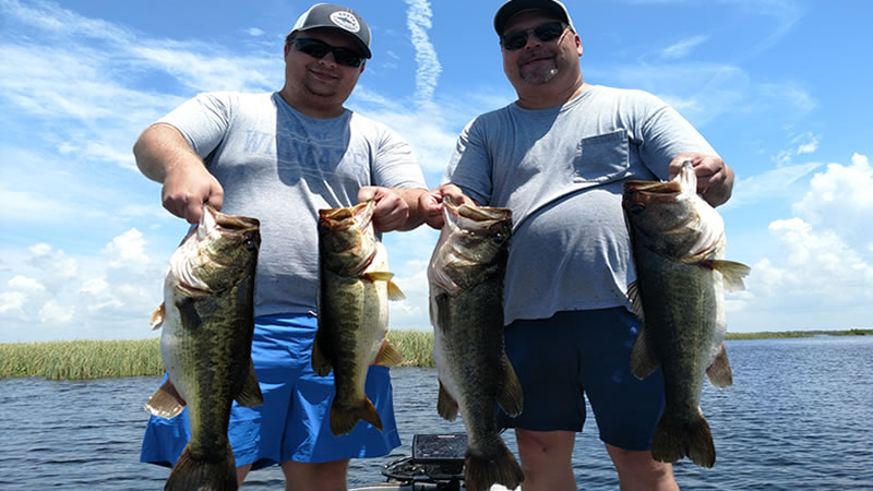 Late Summer Okeechobee Bass Fishing in Central Florida