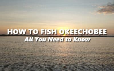 How to Fish Lake Okeechobee – All you Need to Know